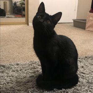 Meet your Posher, Aparajita